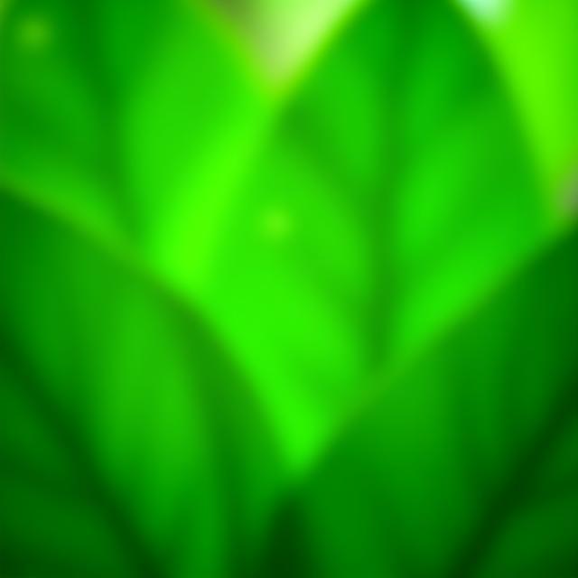 Green leaves symbolising sustainable technology